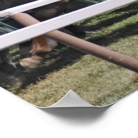 Mellon Turf - Saratoga Race Course ポスター (角)