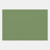 Melon & Basil Wrapping Paper Flat Sheet Set of 3 ラッピングペーパーシート (正面2)