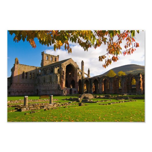 Melrose Abbey, Scotland Photoプリント フォトプリント (正面)