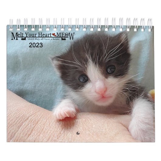 Melt Your Heart - MEOW 2023 Kitten Calendar カレンダー (カバー)