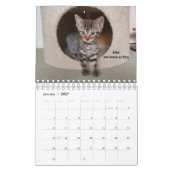 Melt Your Heart - MEOW 2023 Kitten Calendar カレンダー (1月 2027)