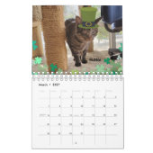 Melt Your Heart - MEOW 2023 Kitten Calendar カレンダー (3月 2027)