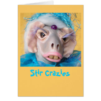 Melvina旋律が美しいカード