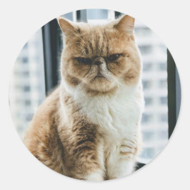 Meme Cat ラウンドシール