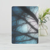 memorial card blue blur tree プログラム (スタンド正面)