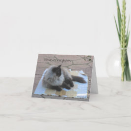 Memories cat noteカード カード