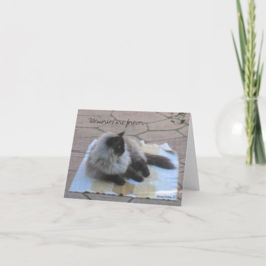 Memories cat noteカード カード (正面)