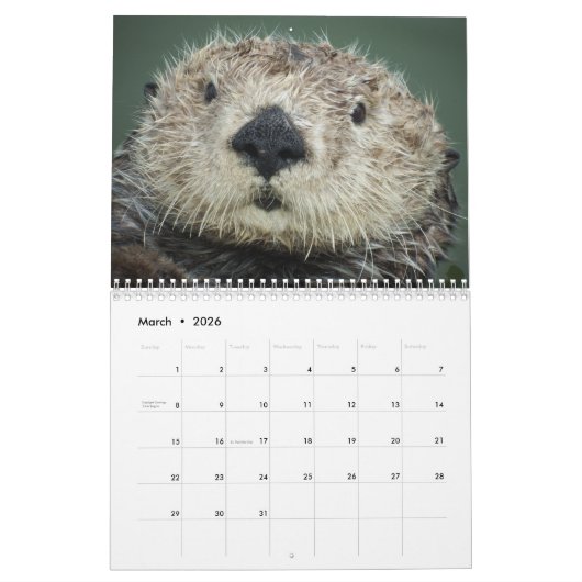 Memories of Mr.Enchilada Calendar カレンダー (3月 2026)