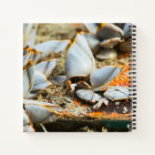 Memories of the shores of Thailand ノートブック (裏面)