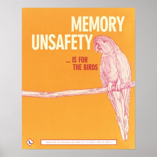 Memory Unsafety is for the Birds ポスター (正面)