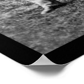 Men and Cannon at Fair Oaks, VA Encampment 1862 ポスター (角)