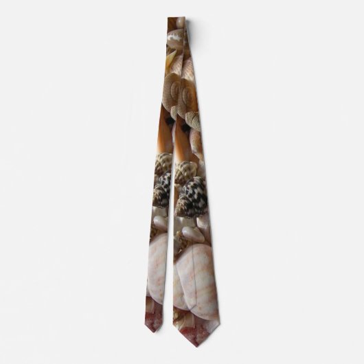 Men Designer Tiesシェル ネクタイ (裏面)