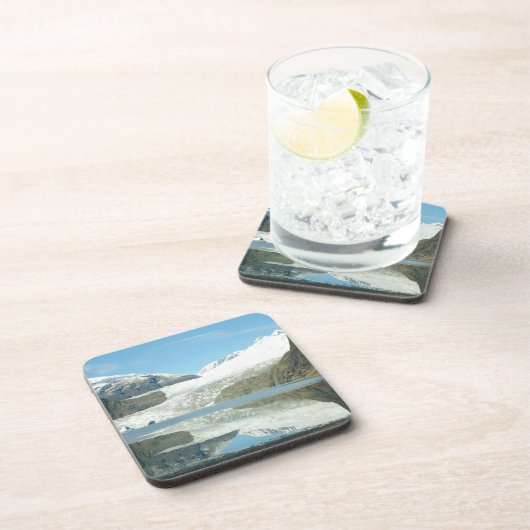 Mendenhallの氷河 コースター (右側)