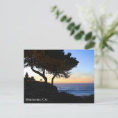 Mendocinoポストカード ポストカード (スタンド正面)