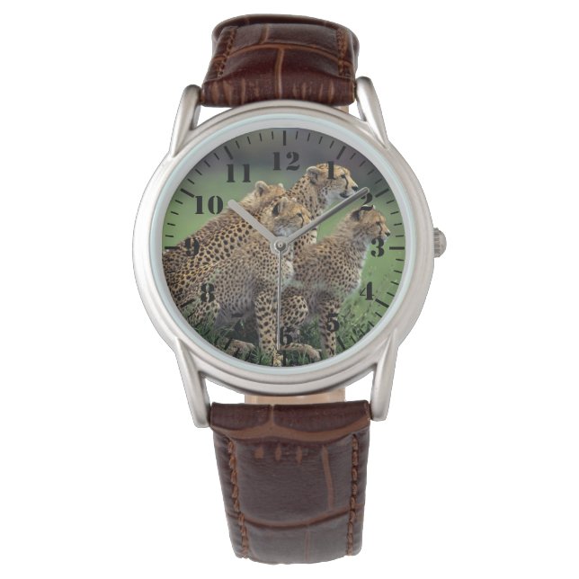 Mens Classic Watch/Wildlife Cheetah's 腕時計 (正面)