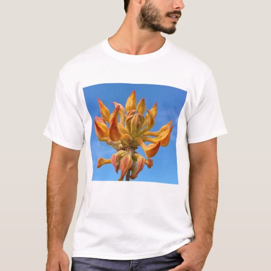 Men's T-Shirt with Florida Flame Azalea Tシャツ (正面)