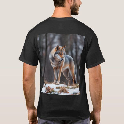 Men's T-shirts  Tシャツ (裏面)