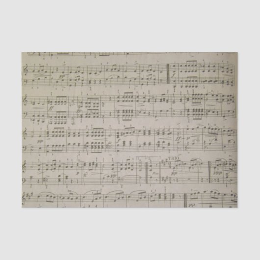 Menuettoのティッシュペーパー 薄葉紙 (正面)