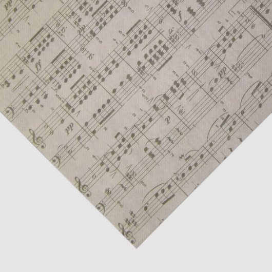 Menuetto 薄葉紙 (詳細)