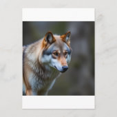 Menus メニュー (裏面)