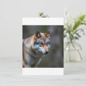 Menus メニュー (スタンド正面)