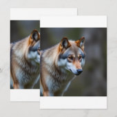 Menus メニュー (正面/裏面)