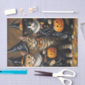 Meoloween: Trick-or-Treaters Cats Decompage 薄葉紙 (クラフト)
