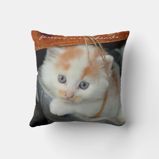 Meowで飼っていた猫の写真悔やみや弔慰 クッション (裏面)