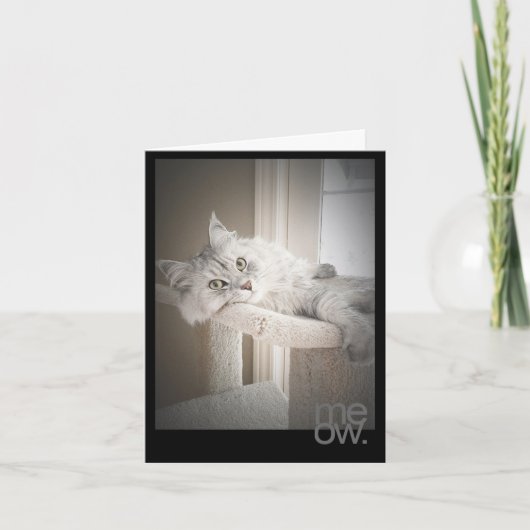 Meow翻訳オリジナル誕生日カード カード (正面)