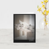 Meow翻訳オリジナル誕生日カード カード (黄色い花)