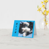 **MEOW AND WOW**はこの子猫「60誕生日」と言う カード (黄色い花)