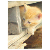 Meow Cats 1クリップボード クリップボード (裏面)