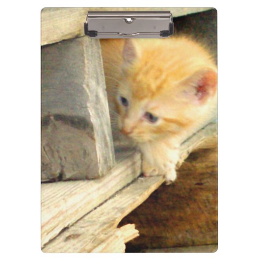 Meow Cats 1クリップボード クリップボード (正面)