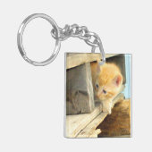 Meow Cats 1角形アクリルキーチェーン キーホルダー (正面左)