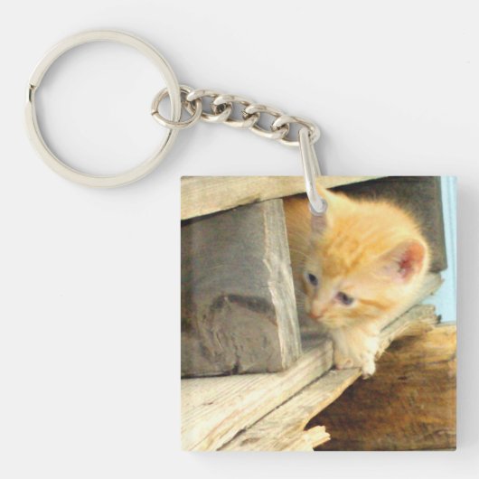 Meow Cats 1角形アクリルキーチェーン キーホルダー (正面)