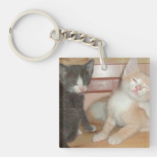 Meow Cats 10角形アクリルキーチェーン キーホルダー (正面)