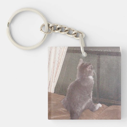 Meow Cats 11両面アクリルキーチェーン キーホルダー (正面)