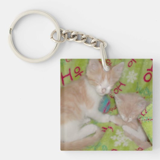 Meow Cats 12両面アクリルキーチェーン キーホルダー (正面)