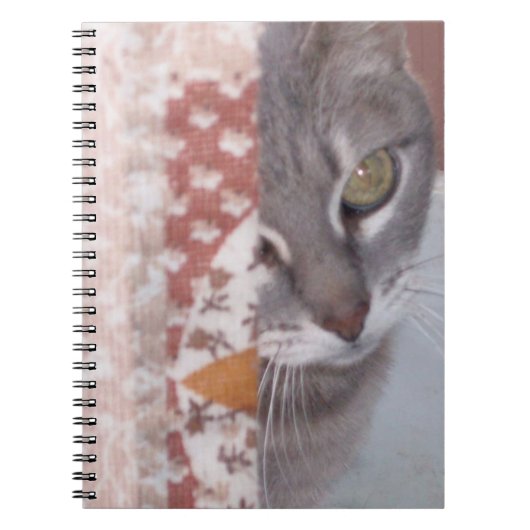 Meow Cats 13ノート ノートブック (正面)