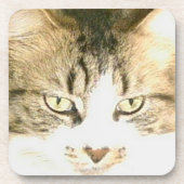 Meow Cats 14コースターセット コースター (正面)