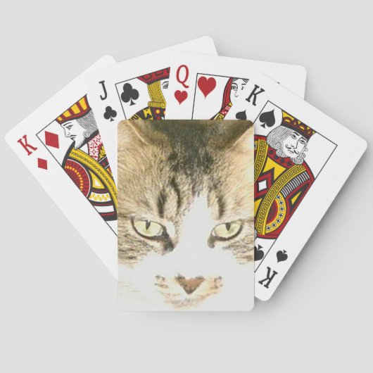 Meow Cats 14トランプ トランプ (裏面)