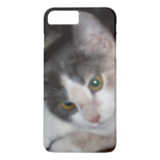 Meow Cats 17 iPhoneケース Case-Mate iPhoneケース (裏面)