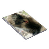 Meow Cats 2ノートブック ノートブック (右側)
