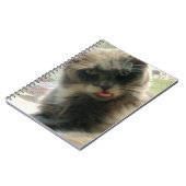 Meow Cats 2ノートブック ノートブック (左側)