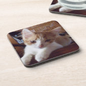 Meow Cats 22コースターセット コースター (左側)