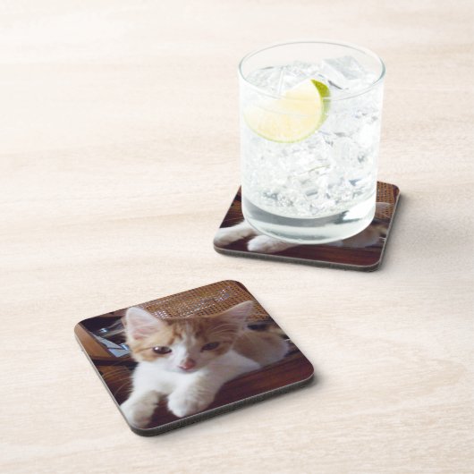 Meow Cats 22コースターセット コースター (右側)