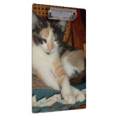 Meow Cats 23クリップボード クリップボード (右)