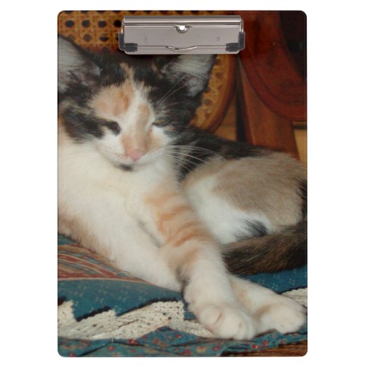 Meow Cats 23クリップボード クリップボード (正面)