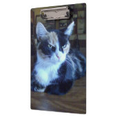 Meow Cats 24クリップボード クリップボード (左)