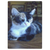 Meow Cats 24クリップボード クリップボード (裏面)